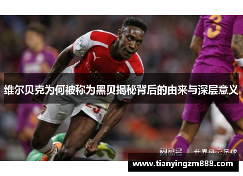 维尔贝克为何被称为黑贝揭秘背后的由来与深层意义